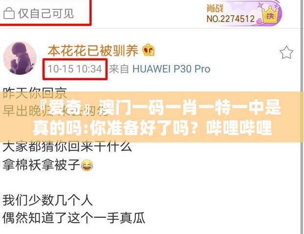 『爱奇』澳门一码一肖一特一中是真的吗:你准备好了吗？哔哩哔哩