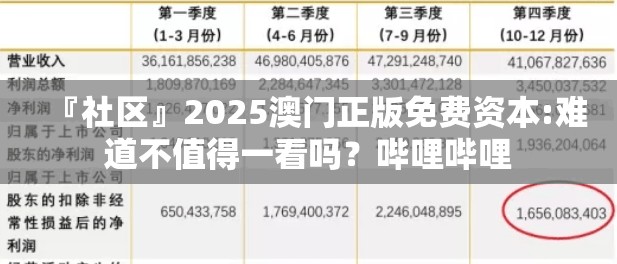 『社区』2025澳门正版免费资本:难道不值得一看吗？哔哩哔哩