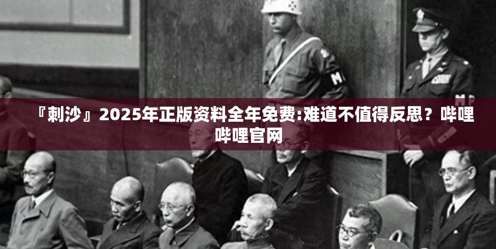 『刺沙』2025年正版资料全年免费:难道不值得反思？哔哩哔哩官网