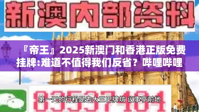 『帝王』2025新澳门和香港正版免费挂牌:难道不值得我们反省？哔哩哔哩官网