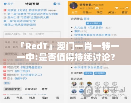 『RedT』澳门一肖一特一一中:是否值得持续讨论？bilibili
