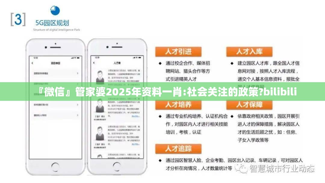『微信』管家婆2025年资料一肖:社会关注的政策?bilibili