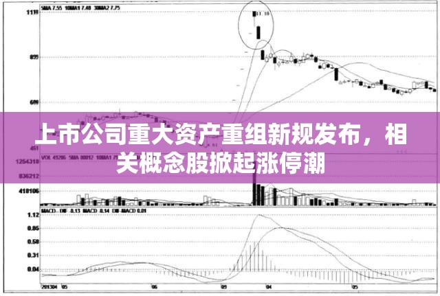 上市公司重大资产重组新规发布，相关概念股掀起涨停潮