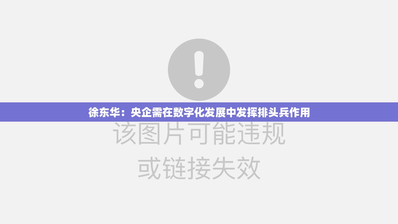 徐东华：央企需在数字化发展中发挥排头兵作用