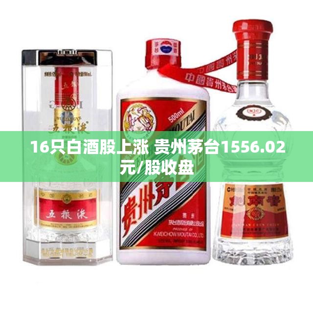 寿和洽