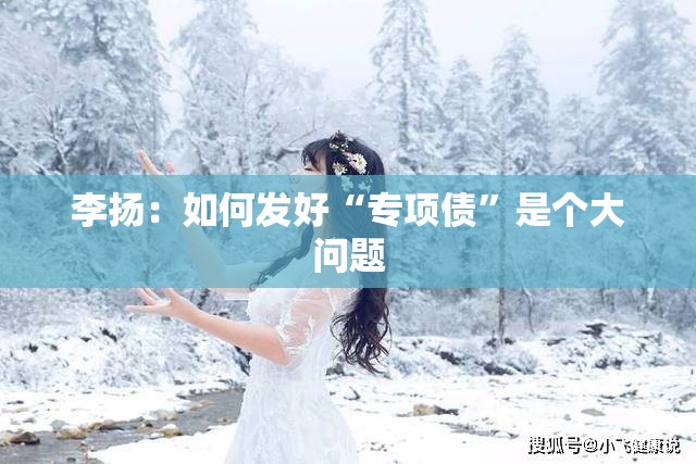 李扬：如何发好“专项债”是个大问题