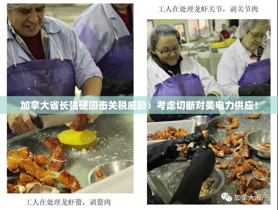 加拿大省长强硬回击关税威胁：考虑切断对美电力供应！